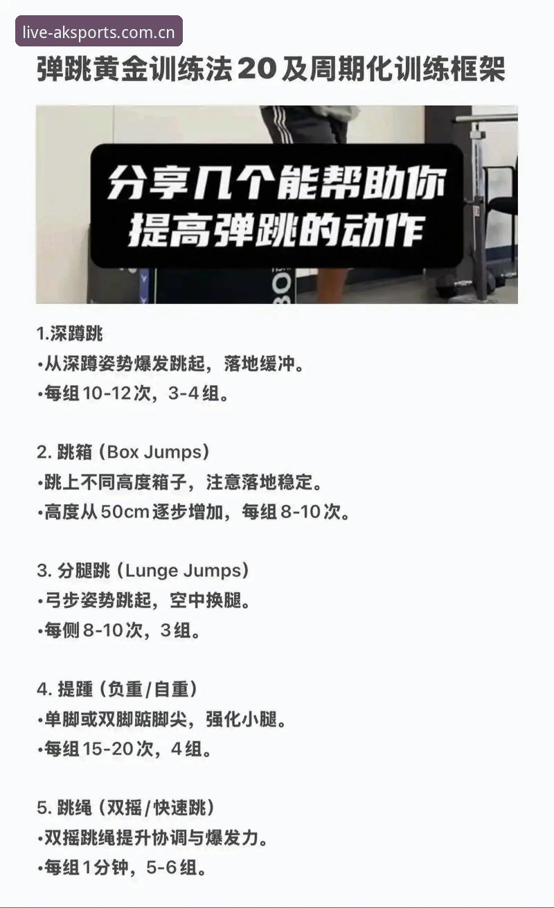 揭秘AK体育使用教程：从入门到精通的完整指南