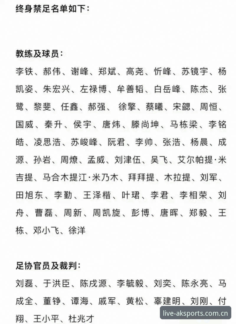 揭秘中国足球反腐风暴：第三批禁足名单背后的深层博弈